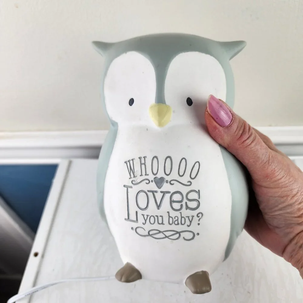 Grasslands Road Owl Whoooo Loves You Baby Desktop Light NWT